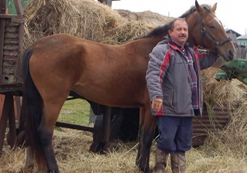 Пересевший на коня однопартиец Буркова отказался от проездного на автобус