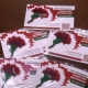 Омичей просят принять участие в благотворительной акции «Красная гвоздика»