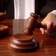 В Омске судят иностранных граждан за контрабанду краснокнижных сапсанов