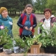 В Омске пройдет озеленительная акция «Добрые соседи»