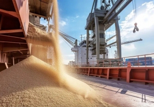 Свежие Новости Омска и Омской области