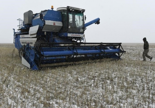 Бурков: Омская область, несмотря на дожди, соберет 3 миллиона тонн зерна