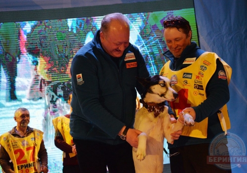 Камчатскую гонку на собачьих упряжках «Берингия» выиграл москвич