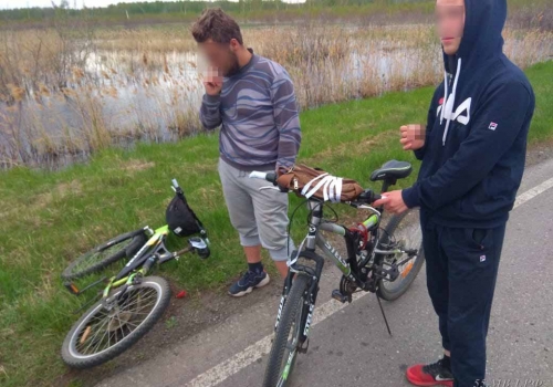 Новосибирцы так спешили на столичный рэп-концерт, что угнали велосипеды у школьников из Омской области