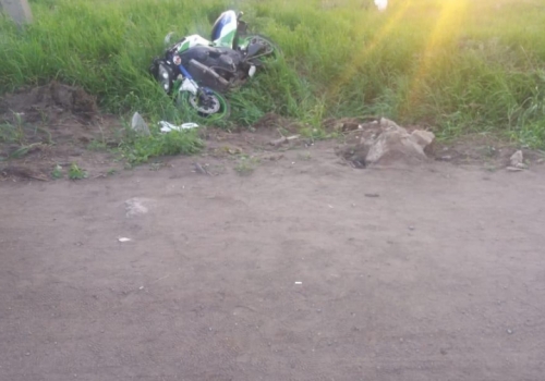 В Старом Кировске столкнулись японские фура и мотоцикл — байкер ранен