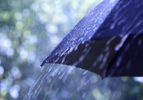 В Омской области дожди задержатся надолго