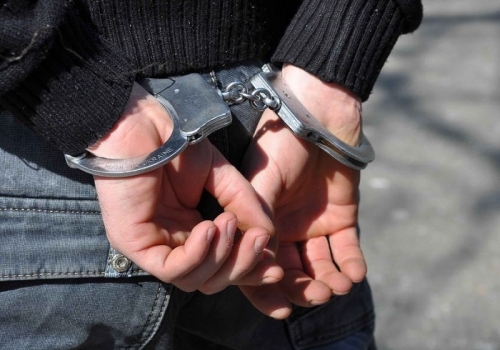 Омич, укусивший полицейского 1 января, заплатит штраф