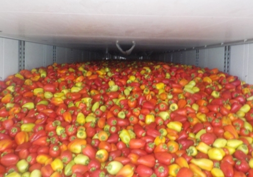 Омский Россельхознадзор остановил 75 тонн нелегальной партии овощей