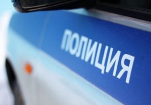 Полиция поймала омских «Бонни и Клайда», обчищавших магазины бытовой техники