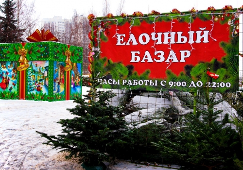 Предновогодний сезон в Омске объявляется открытым с 1 декабря