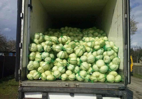 На границе с Омской областью «арестовали» около 100 тонн продуктов с поддельными документами