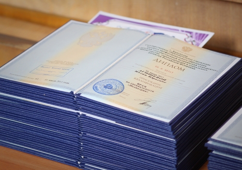В Омске выявили сайты по продаже дипломов и водительских прав