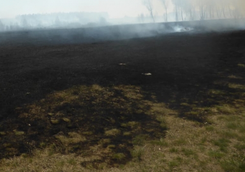 Схватили виновников двух пожаров в Азовском и Саргатском районах