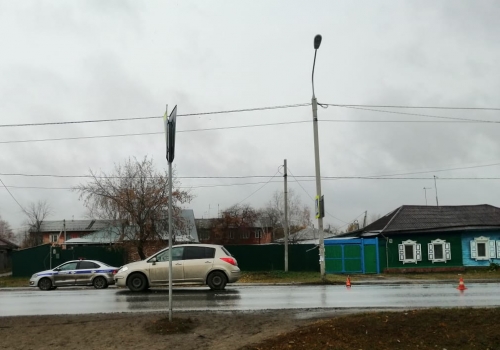 В сумерках в Омской области иномарка травмировала девочку