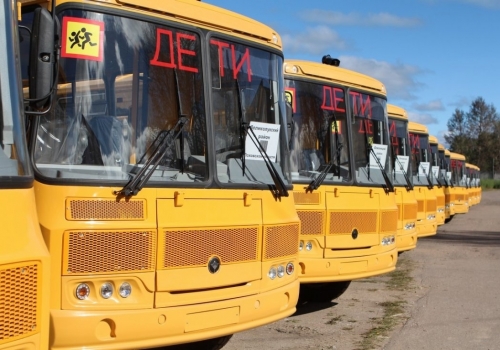 Школьники Омской области смогут добираться на учебу на новом транспорте