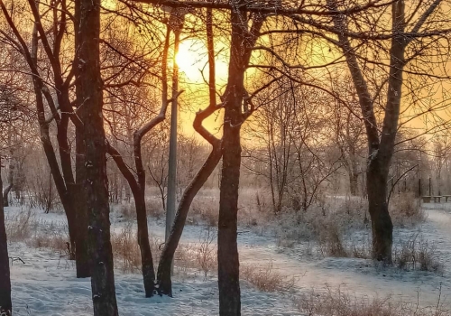 Мартовские ночи в Омской области будут напоминать о зиме