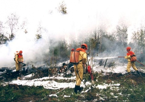 В Омской области к тушениям пожаров приступила авиационная охрана