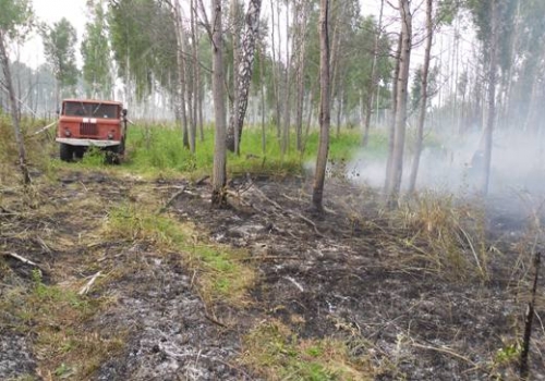 На севере Омской области сотрудники авиалесоохраны тушат пожар на болоте площадью 300 га
