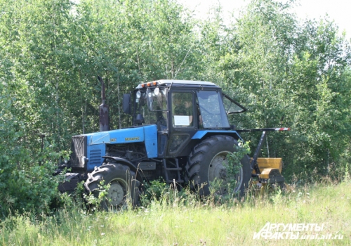 Площадь заросших лесом сельхозугодий в России может оказаться в пять раз больше