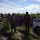 Пропавший в Омской области грибник найден погибшим