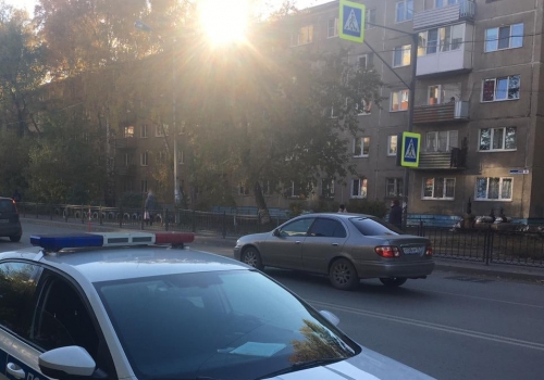 Полиция ищет лихача, который на севере Омской области сбил подростка и скрылся