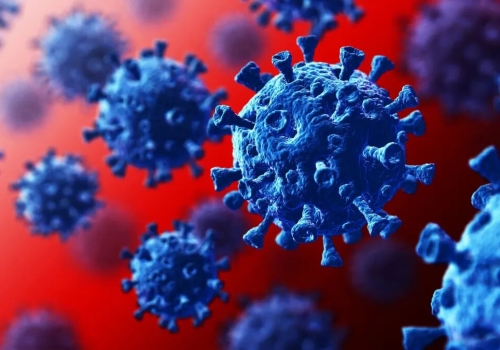 В России выявлены новые штаммы коронавируса