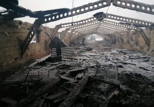 В Омской области двух мужчин погибло во время пожара на животноводческой ферме