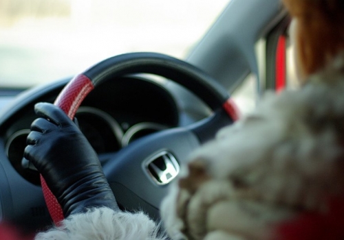 В Омске автоледи наказали за то, что залепила снежком госзнаки