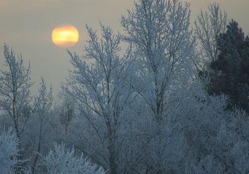 За туманами и изморозью в Омскую область придет похолодание