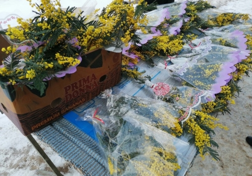 Не праздничный букет: в Омске проверяют стихийные рынки цветов