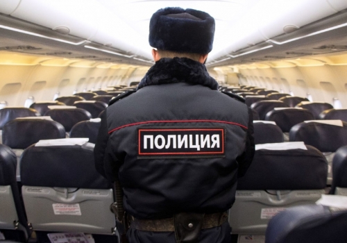 В омском аэропорту пассажира ждала полиция