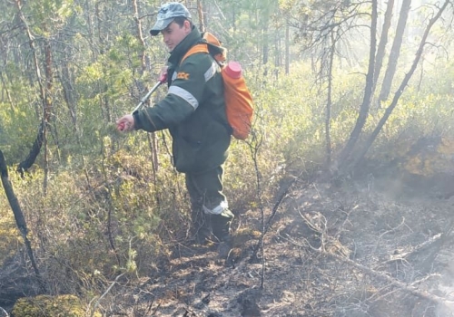 За выходные в Омской области произошло 7 лесных пожаров