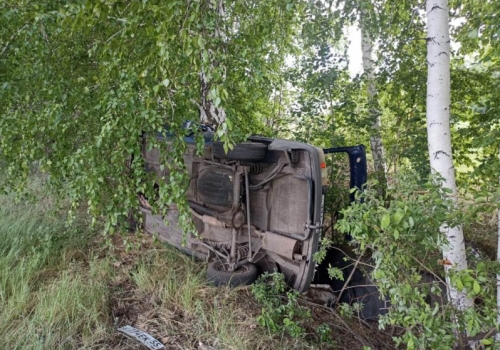 В Омской области при столкновении с деревом в ДТП погибли два человека