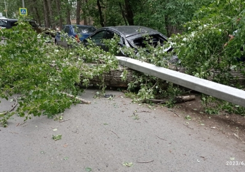 Виталий Хоценко: «Все аварийные ситуации были оперативно устранены»