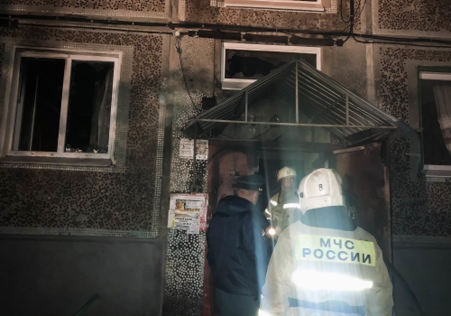 В Омской области за неделю в пожарах погибли несколько человек