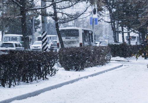 В Омской области в ближайшие дни много снега не будет