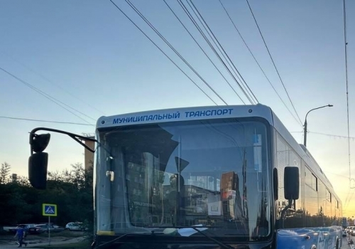 В Омске муниципальному транспорту не хватает 170 водителей