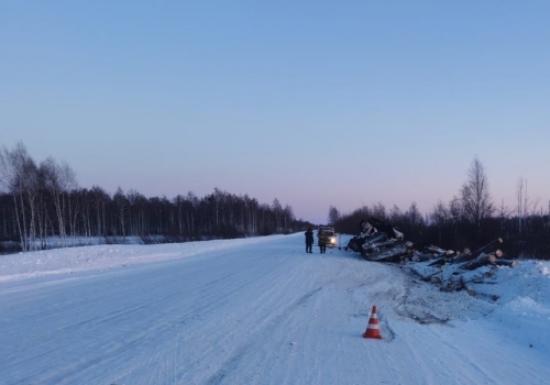 На севере Омской области в перевернувшемся грузовике погиб человек
