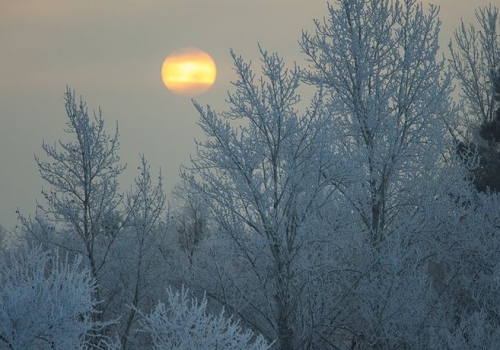 Мороз задерживается в Омской области