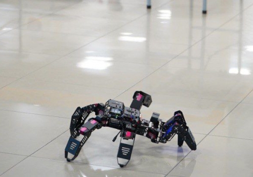 Кибериада по-омски: юные инженеры научат роботов играть в кёрлинг