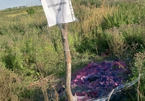 В Омской области нашли свалку, где превышение ПДК ртути —  125 раз