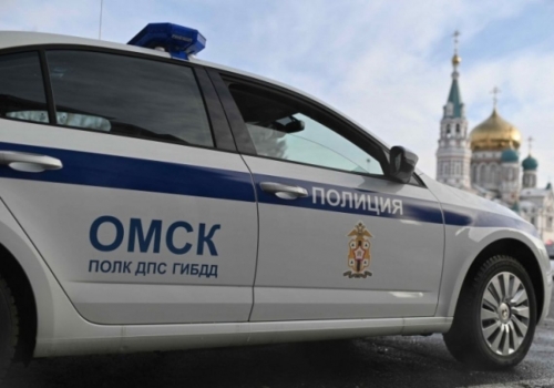 В Омской области пешеход попытался избить сотрудников ДПС