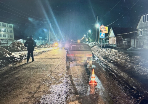 В Омской области пьяный водитель сбил трёх подростков