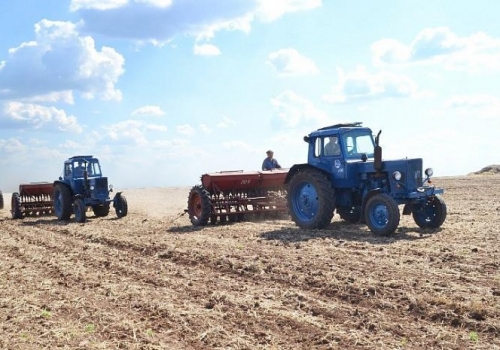 Омские аграрии увеличат площади посевов