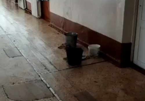 «Вешние воды» не по программе: о протекающих крышах в школах Омска