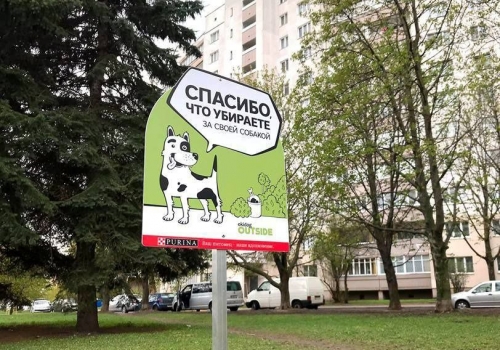 Сергей Шелест решает, как повлиять на владельцев собак