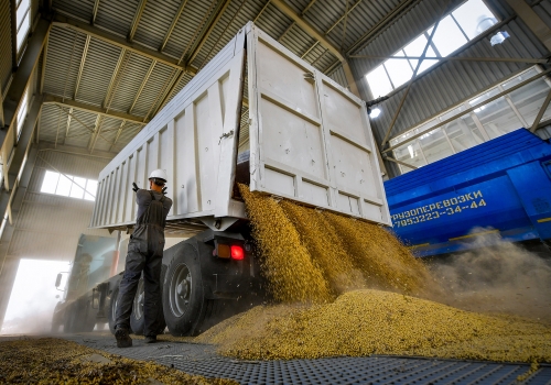 Омская область снизила показатели экспорта сельхозпродукции на 7%