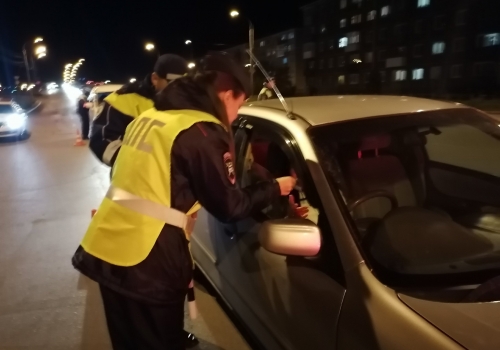 Житель Омской области, будучи пьяным за рулем, несколько раз толкнул инспектора и «попал» на статью