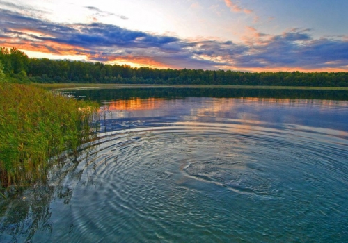 Омские «Пять озер» постепенно превращаются в болота