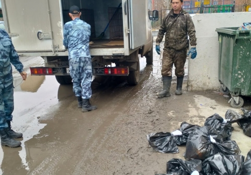 Россельхознадзор назвал причастных к трупам животным на мусорной площадке в Омске